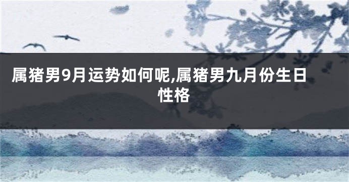属猪男9月运势如何呢,属猪男九月份生日性格
