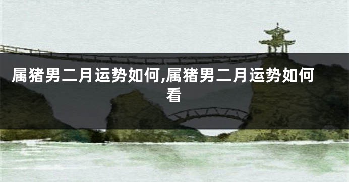 属猪男二月运势如何,属猪男二月运势如何看