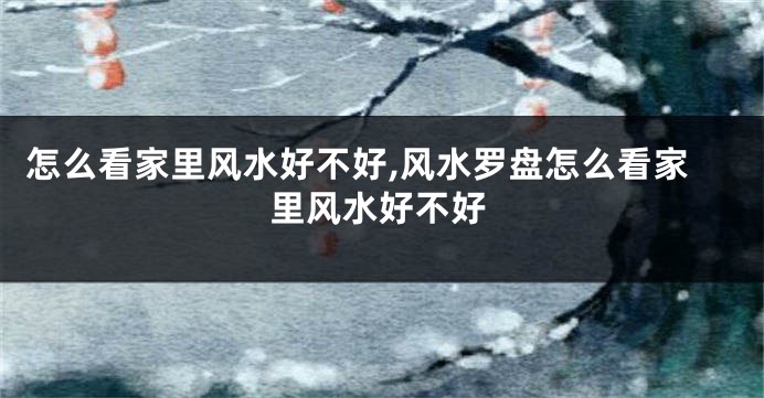 怎么看家里风水好不好,风水罗盘怎么看家里风水好不好