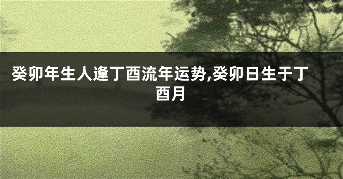 癸卯年生人逢丁酉流年运势,癸卯日生于丁酉月