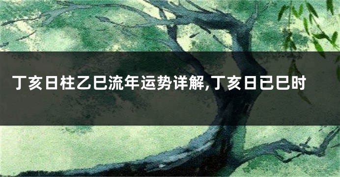 丁亥日柱乙巳流年运势详解,丁亥日已巳时