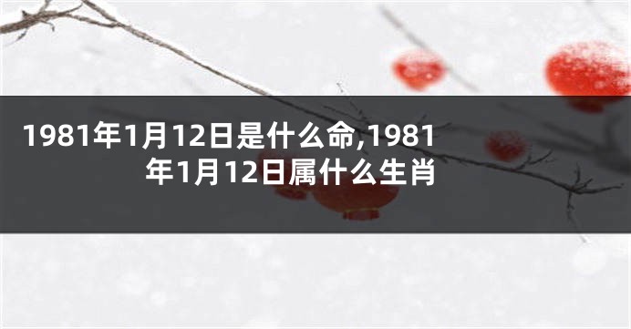 1981年1月12日是什么命,1981年1月12日属什么生肖