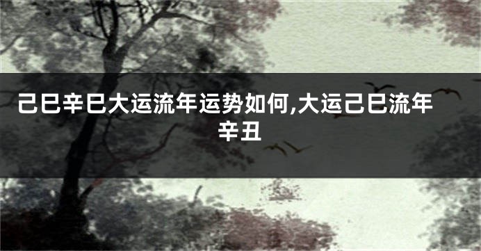 己巳辛巳大运流年运势如何,大运己巳流年辛丑