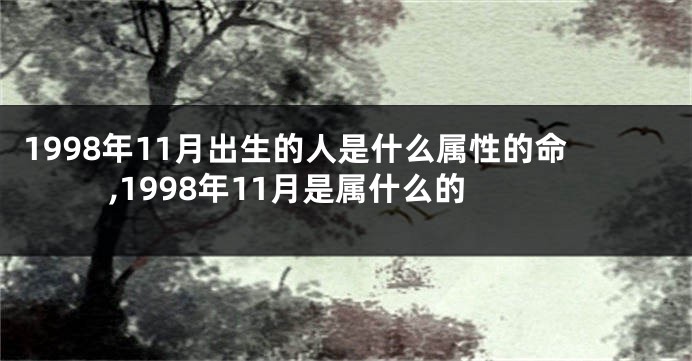 1998年11月出生的人是什么属性的命,1998年11月是属什么的