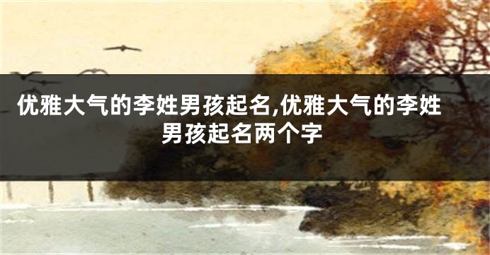 优雅大气的李姓男孩起名,优雅大气的李姓男孩起名两个字