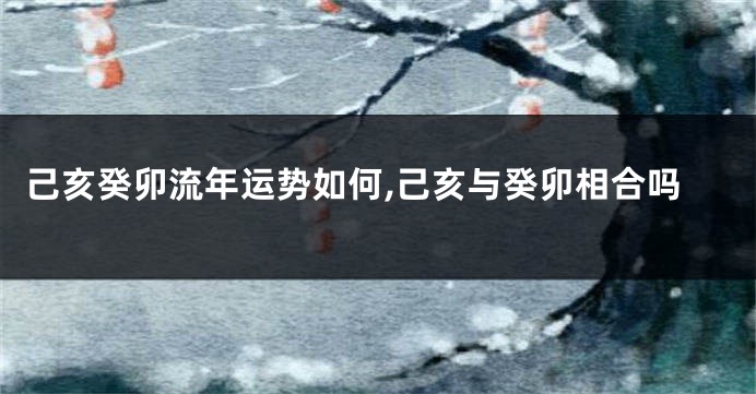 己亥癸卯流年运势如何,己亥与癸卯相合吗