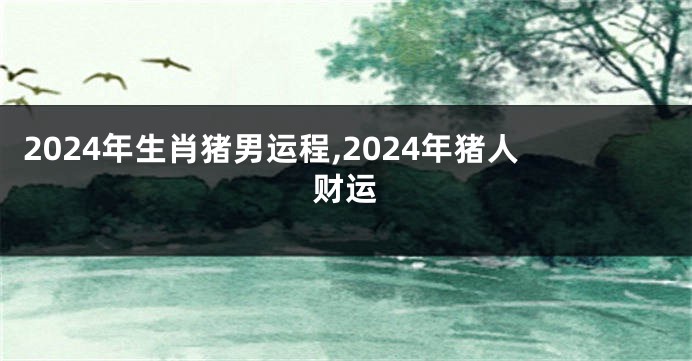 2024年生肖猪男运程,2024年猪人财运