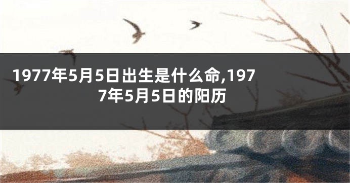 1977年5月5日出生是什么命,1977年5月5日的阳历