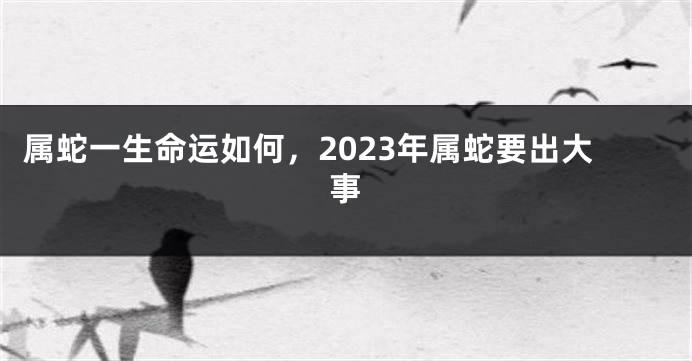 属蛇一生命运如何，2023年属蛇要出大事