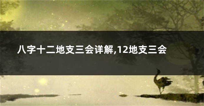 八字十二地支三会详解,12地支三会