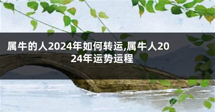 属牛的人2024年如何转运,属牛人2024年运势运程