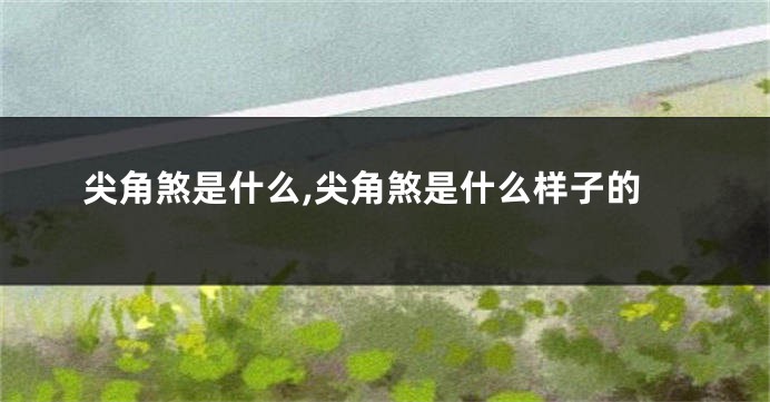 尖角煞是什么,尖角煞是什么样子的