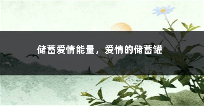 储蓄爱情能量,爱情的储蓄罐
