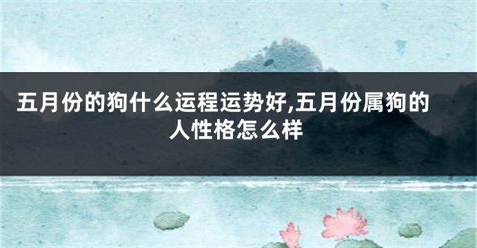 五月份的狗什么运程运势好,五月份属狗的人性格怎么样