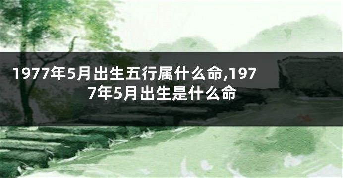 1977年5月出生五行属什么命,1977年5月出生是什么命
