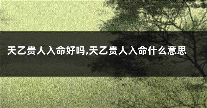 天乙贵人入命好吗,天乙贵人入命什么意思