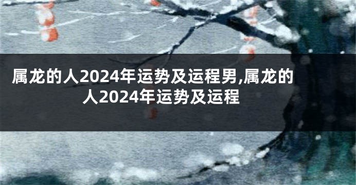 属龙的人2024年运势及运程男,属龙的人2024年运势及运程