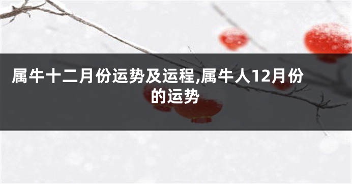 属牛十二月份运势及运程,属牛人12月份的运势