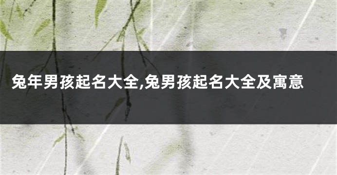 兔年男孩起名大全,兔男孩起名大全及寓意