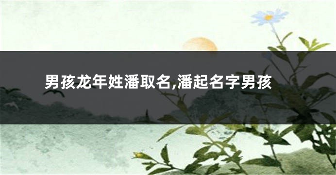 男孩龙年姓潘取名,潘起名字男孩