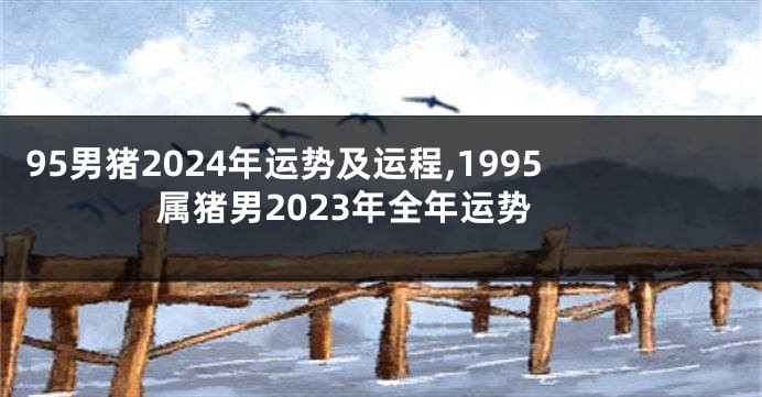95男猪2024年运势及运程,1995属猪男2023年全年运势