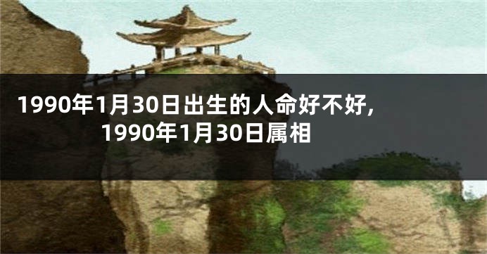 1990年1月30日出生的人命好不好,1990年1月30日属相