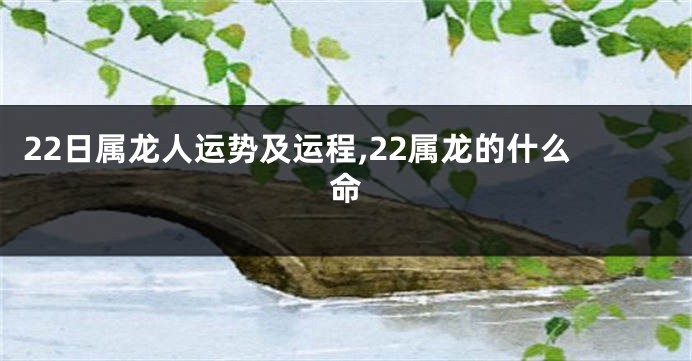 22日属龙人运势及运程,22属龙的什么命