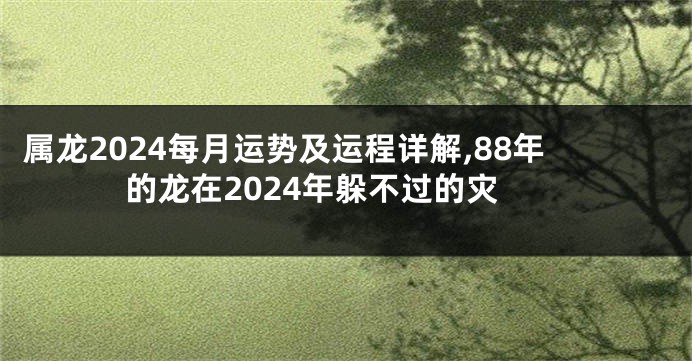 属龙2024每月运势及运程详解,88年的龙在2024年躲不过的灾