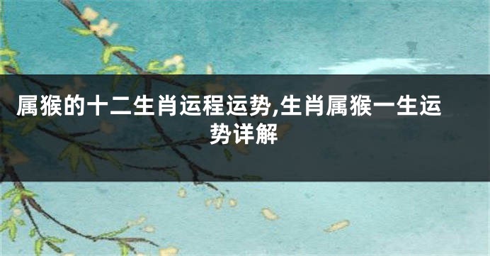 属猴的十二生肖运程运势,生肖属猴一生运势详解