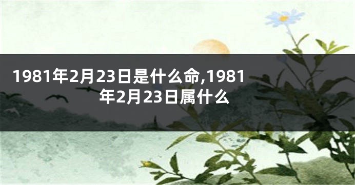 1981年2月23日是什么命,1981年2月23日属什么