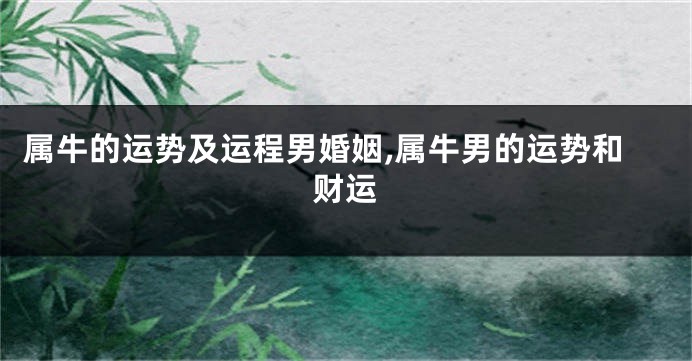 属牛的运势及运程男婚姻,属牛男的运势和财运