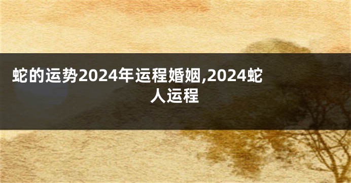蛇的运势2024年运程婚姻,2024蛇人运程