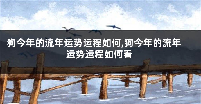 狗今年的流年运势运程如何,狗今年的流年运势运程如何看