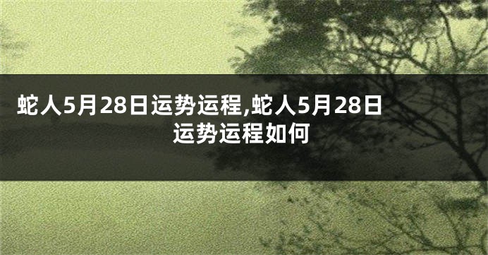 蛇人5月28日运势运程,蛇人5月28日运势运程如何