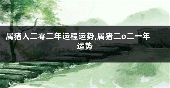 属猪人二零二年运程运势,属猪二o二一年运势