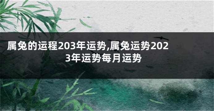 属兔的运程203年运势,属兔运势2023年运势每月运势