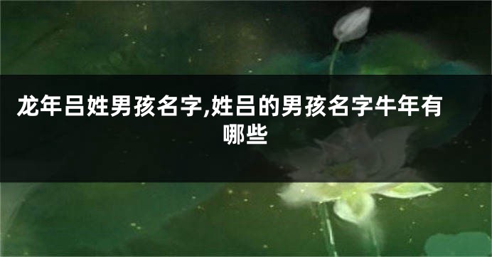 龙年吕姓男孩名字,姓吕的男孩名字牛年有哪些
