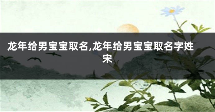 龙年给男宝宝取名,龙年给男宝宝取名字姓宋