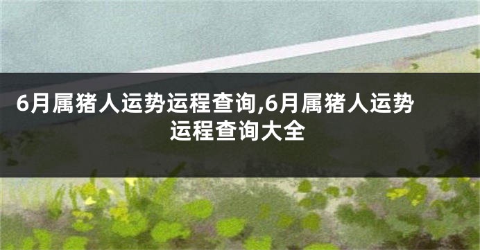 6月属猪人运势运程查询,6月属猪人运势运程查询大全