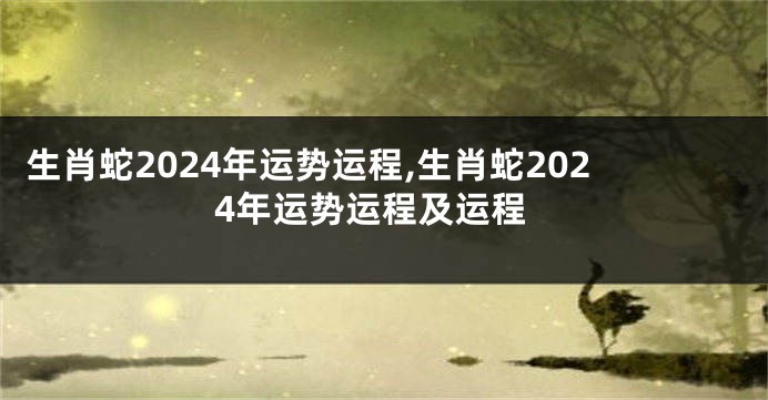 生肖蛇2024年运势运程,生肖蛇2024年运势运程及运程