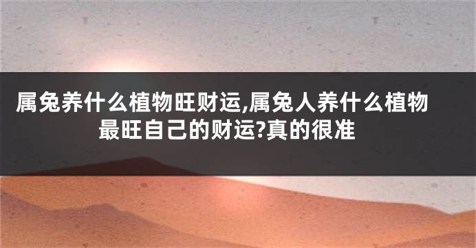 属兔养什么植物旺财运,属兔人养什么植物最旺自己的财运?真的很准