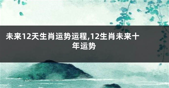 未来12天生肖运势运程,12生肖未来十年运势