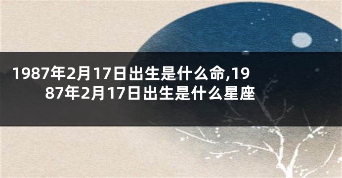 1987年2月17日出生是什么命,1987年2月17日出生是什么星座