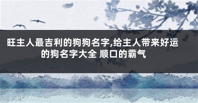 旺主人最吉利的狗狗名字,给主人带来好运的狗名字大全 顺口的霸气