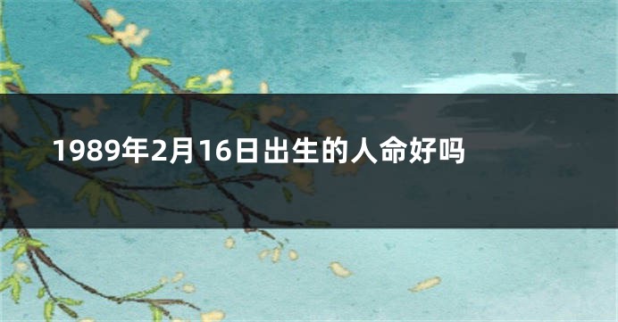 1989年2月16日出生的人命好吗