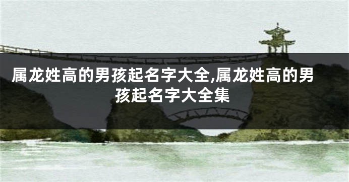 属龙姓高的男孩起名字大全,属龙姓高的男孩起名字大全集
