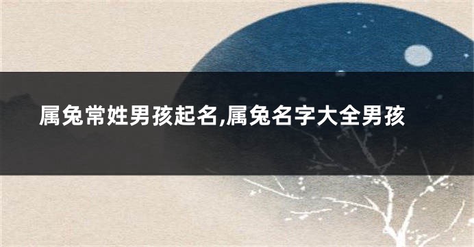 属兔常姓男孩起名,属兔名字大全男孩