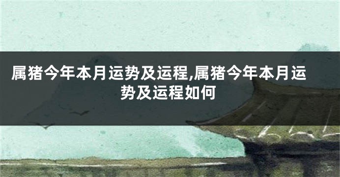 属猪今年本月运势及运程,属猪今年本月运势及运程如何
