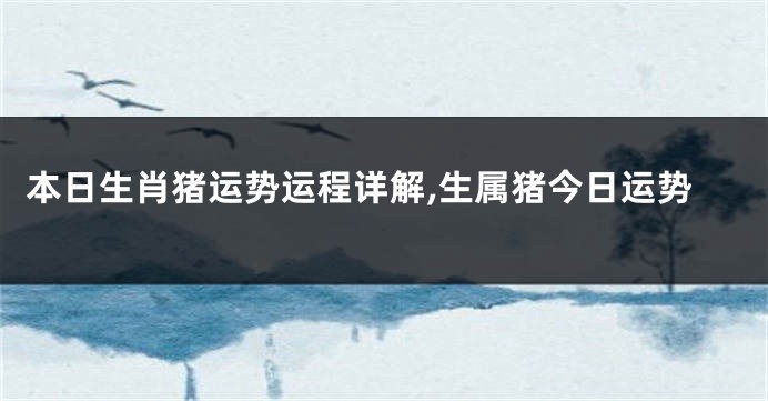 本日生肖猪运势运程详解,生属猪今日运势