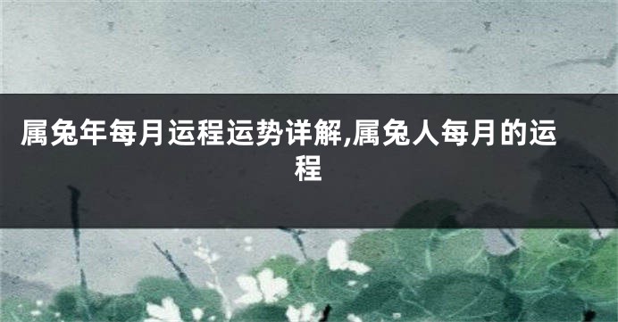 属兔年每月运程运势详解,属兔人每月的运程